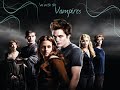 Shake it - Rediscover (Twilight)