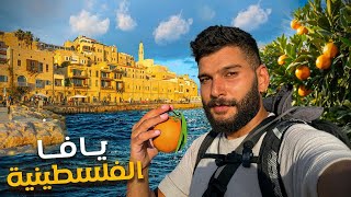 وصلت أجمل مدن فلسطين _ مدينة يافا 🌊🍊