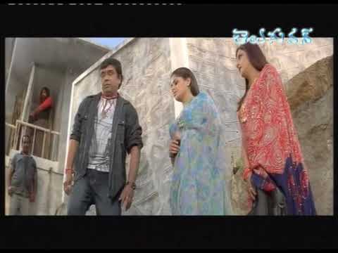 comedy, entertainment, fun, allari naresh, krishna bhagvan, kota, tanikella bharani, farzana, brahmannadam, ali