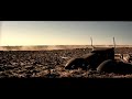Toyota Landcruiser Born of the Earth