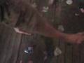 videos de Welcome to the future funny vids