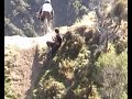 Pig Chute at LG