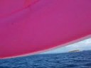 videos voile