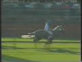 Palio di Legnano 1995
