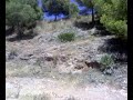 menudo ostion se metio en el cortao nuevo cuando todavia no estaba echo