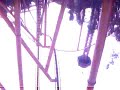 Magic Mountain - Tatsu Magic Mountain - Tatsu