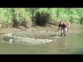 Giant Croc Swallows Man Arm? (by Earl Cole)