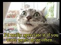 Funny Cats
