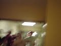 running down the hall + ceiling