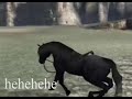 Shadow of Colossus Mysterious Part of The End 1 Shadow of Colossus Mysterious Part of The End 1