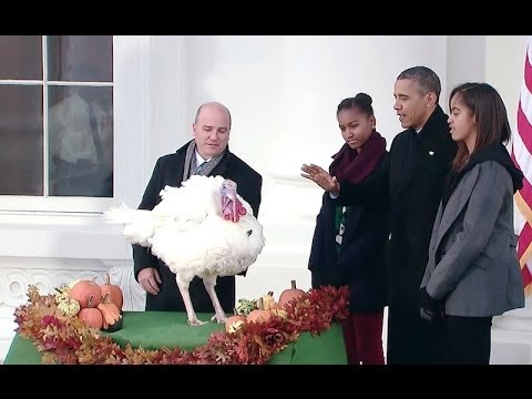 White - The President grants the traditional Thanksgiving pardon to Popcorn, this years Official White House Turkey, in a ceremony on the North Portico of the White ...