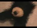 Blackberry's fart problem