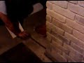 The Cicada Chronichles Pt. 2 - San Antonio, TX