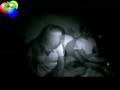 videos de Haunted Homes Series 2 - E 5 4/5