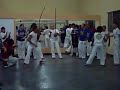 roda do grupo negro fujão roda do grupo negro fujão