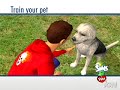 the sims 2 pets