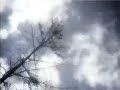 Benoit Pioulard - Triggering Back