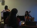 Handel-Halverson Passacaglia (violin-cello)