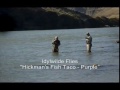 Hickman's Fish Taco - Purple.wmv
