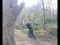 llion on swing