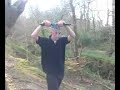 llion on swing