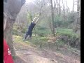 llion on swing