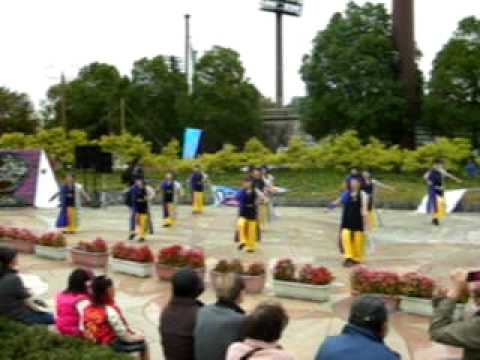 埼玉県・北本よさこい・北桜連~絆~