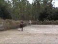 videos de Lavarre1_0002.wmv