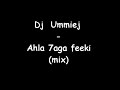 Dj Ummiej - ahla 7aga feeki (mix)