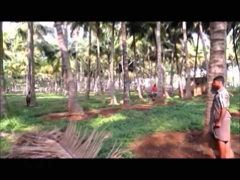 Nelli Kundu short film Nelli Kundu short film
