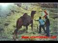 www.otantikkent.com Ta�kale Adalar T�rk�s�