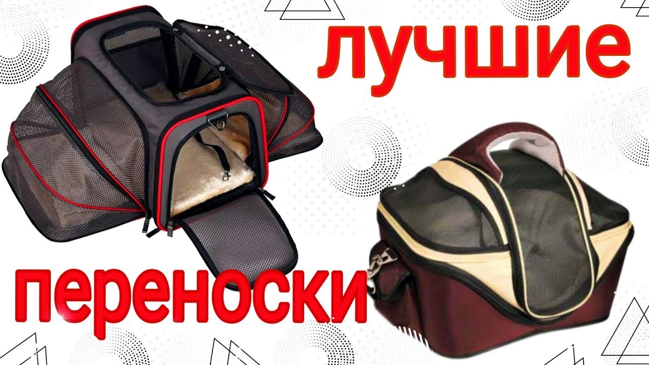 ВЛОГ: Переноски для собак и кошек. Покупки с AliExpress / Семья Козырь