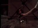 Legos in Space That Sing and Dance