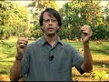 U-M composer\