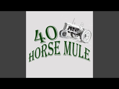 40 Horse Mule - Hell, Fire and Brimstone