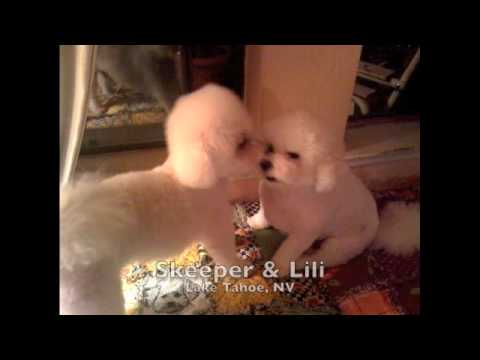 See video