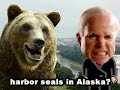 Headzup: Bear DNA vs. Seal DNA