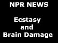 mdma brain damage paper retraction from the journal science