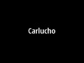 Carlucho la vomitona