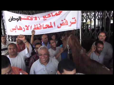 الوطن | معتصمو محافظة الأقصر يربطون "حصانًا".. ويهتفون "حا شي.. المرشد بيمشيه"