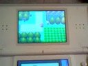 how to catch Ditto o Pokemon Diamond and Peal