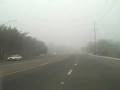 videos de I take skye to school in the tule fog.wmv