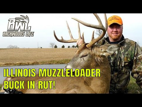 how to properly tag a deer in illinois