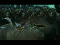 videos de WoW Spoiler quête désolation des dragons.avi