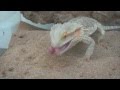 Voir la vid&eacute;o