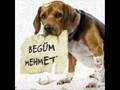 BEGÜM MEHME