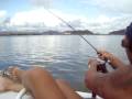 videos de coitado do camarão