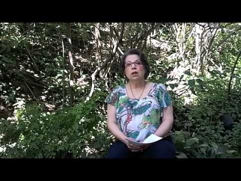 how to treat pyroluria