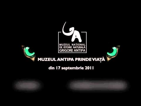 Muzeul Antipa