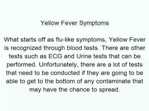 how to administer yellow fever vaccine